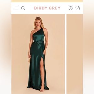 Birdy Grey NWT Emerald Satin Kira Shiny Dress